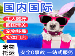 烟台蓬莱航空快运国际宠物托运 【国